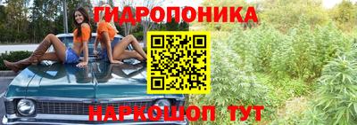 каннабис Кунгур